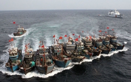 Yonhap: Triều Tiên bán quyền đánh cá ở Biển Nhật Bản cho Trung Quốc
