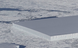 Tảng băng 'vuông tự nhiên' gây kinh ngạc tại Nam Cực