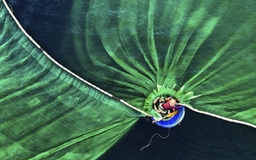 Người Việt đoạt giải nhất cuộc thi ảnh quốc tế về môi trường