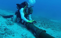 Dự án cáp ngầm Thái Bình Dương bị đình chỉ vì lo ngại Trung Quốc
