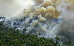 Lá phổi xanh Amazon đang thải nhiều CO2 hơn hấp thụ