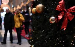Chuyên gia Đức đánh giá biến thể Omicron có thể là 'quà Giáng sinh'