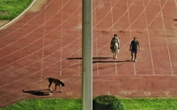 Quan chức buộc sân vận động đóng cửa sớm để... dắt chó đi dạo