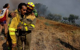 WHO: hơn 1.700 người chết tại Tây Ban Nha, Bồ Đào Nha vì nắng nóng