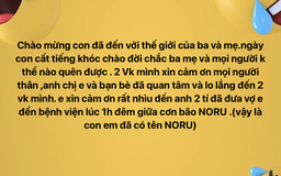 Sản phụ bất ngờ chuyển dạ giữa đêm bão đổ bộ: Con gái tên Noru