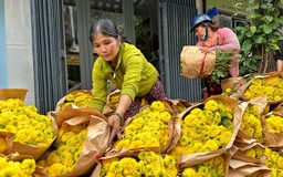 23 tháng chạp: Chợ hoa lớn nhất TP.HCM nhộn nhịp, người bán cười tươi như hoa