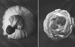 Nhiếp ảnh gia Nga 'gây mê' với ảnh vũ công ballet và hoa