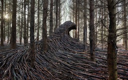 Những con sóng gỗ mô phỏng dịch Covid-19 lướt qua khu rừng ở Đức