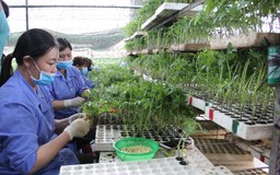 Lâm Đồng: Thưởng Tết Nguyên đán Quý Mão 2023 thấp nhất 200.000 đồng/người