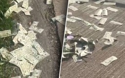 600.000 USD rơi trên xa lộ, cảnh sát kêu gọi người nhặt trả lại