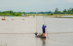 Sông Mê Kông: Lũ rút, thủy điện vào mùa xả nước