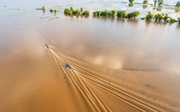 Sau nhiều năm ‘đói lũ’, miền Tây lần đầu đón mùa nước nổi quay lại