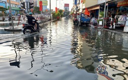 Nước sông Sài Gòn - Đồng Nai và ĐBSCL vượt báo động 3