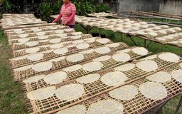 Nhà nông phục vụ tết - Kỳ 4: Bánh tráng Tân An