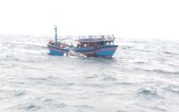 Ngư dân bị nạn, tử vong trong chuyến vươn khơi đầu năm