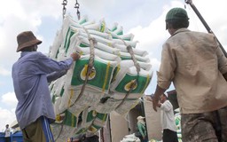 Xuất khẩu gạo giảm 94%