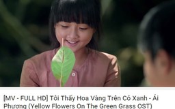 Ái Phương đính chính về ca khúc 'Tôi thấy hoa vàng trên cỏ xanh'