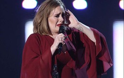 Adele bị tố 'làm việc không có đạo đức' khi hủy hai đêm diễn