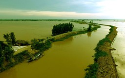 Gần 1.200 tỉ đồng xây đê bao sông Mang Thít
