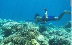 Vì sao bộ tộc 'người cá' Bajau lặn sâu đến 70 mét?