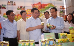 2 tỉ USD chuẩn hóa 2.400 sản phẩm, nông sản địa phương