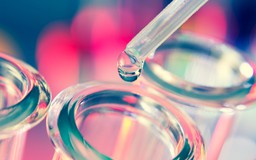 'Vũ khí' ẩn giấu trong dạ dày chống được siêu vi khuẩn kháng kháng sinh