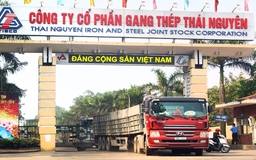 Hàng ngàn tỉ đồng 'đốt' tại dự án gang thép Thái Nguyên