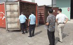 Hoàn tất khám xét lô 60 container gỗ quý nhập lậu