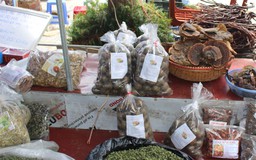 Khám phá thảo dược Việt: Lộc rừng rưng rưng nước mắt