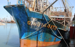 Một tàu cá Quảng Nam tố bị tàu Trung Quốc cướp hơn 2 tấn mực khô