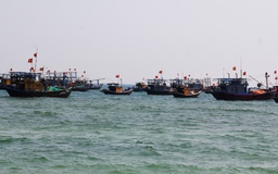 Tàu cá Quảng Nam cùng 9 ngư dân mất liên lạc trên biển Trường Sa