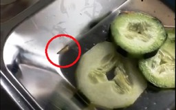 Quảng Nam: Thực hư clip công nhân phát hiện giòi lúc nhúc trong đĩa cơm