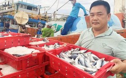 Trúng hơn 250 tấn cá ở Hoàng Sa, ngư dân Quảng Bình phải gọi thêm tàu phụ kéo về