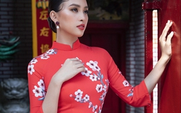 Hoa hậu Tiểu Vy: ‘Tết là phải trở về sum họp bên gia đình’