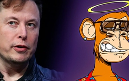 Giá ApeCoin 'điên đảo' theo 'hứng' của Elon Musk