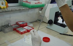 9 học sinh bị bệnh quai bị ở một trường tiểu học