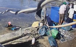 Vụ 'thương lái dàn cảnh trộm tôm': UBND tỉnh Cà Mau chỉ đạo khẩn trương điều tra