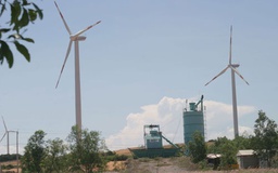 Cà Mau: Một dự án điện gió có 84 lao động Trung Quốc không phép