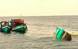 Cà Mau: 2 tàu cá đâm chìm tàu câu mực trên biển rồi bỏ chạy