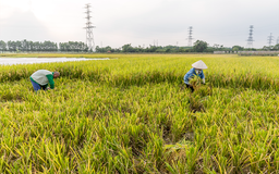 Cam kết tăng trưởng xanh của một dự án quốc tế