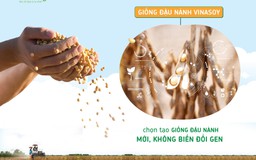 Vùng nguyên liệu nội địa - niềm tự hào giúp Vinasoy vươn tầm thế giới