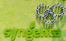 Syngenta Việt Nam được vinh danh là doanh nghiệp xuất sắc châu Á