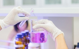 Sức hấp dẫn của ngành công nghệ thực phẩm