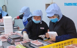 Thịt heo VietGAP, thịt heo thảo mộc giảm giá đến 20%