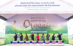 Vinamilk hợp tác xây dựng tổ hợp “resort” bò sữa organic 120 triệu USD tại Lào