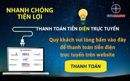 Dịch vụ điện trực tuyến cấp độ 4: Cấp độ đột phá trong ngành điện