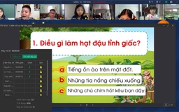 Dạy online không hiệu quả, đâu là nguyên nhân?