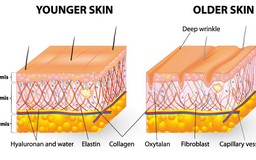Bổ sung collagen cho làn da căng mịn, trắng hồng