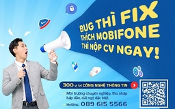 Nhu cầu tuyển dụng ngành công nghệ thông tin bùng nổ dịp cuối năm