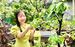 Lan tỏa thông điệp sống xanh bằng những hành động giản đơn